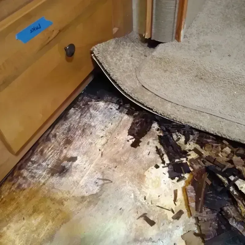 Wood Floor Water Damage in Franklin County, OH